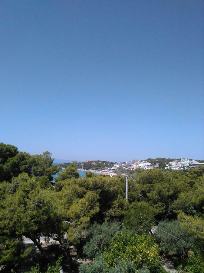 Comfortable Garden Apt Near Vouliagmeni Beach Atenas Exterior foto