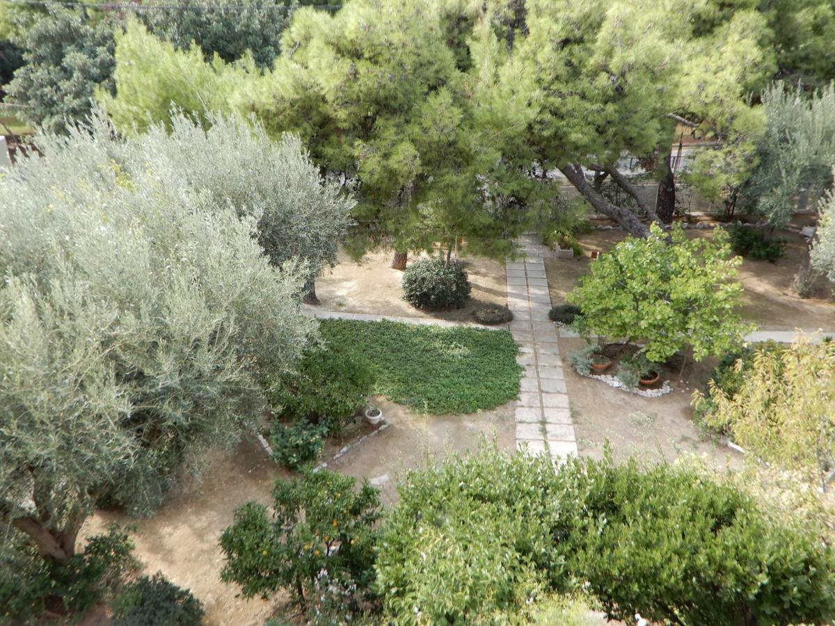 Comfortable Garden Apt Near Vouliagmeni Beach Atenas Exterior foto